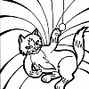 kittten 3 t kittten 3 t