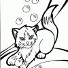 kitten and bubbles coloring page