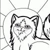 kittten in sun coloring page