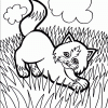 kitten in field coloring page