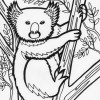 koala bear coloring page