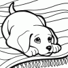 puppies laying coloring page puppies laying coloring page
