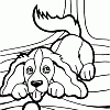 puppies 14 t puppies 14 t