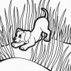 puppies in grass coloring page puppies in grass coloring page