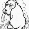 puppies scotty dog coloring page puppies scotty dog coloring page