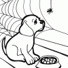 puppies and spider coloring page puppies and spider coloring page
