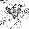 Cow bird coloring page
