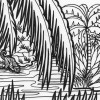 Jungle tiger coloring page