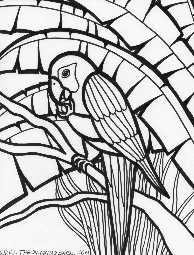 Rainforest parrot coloring page