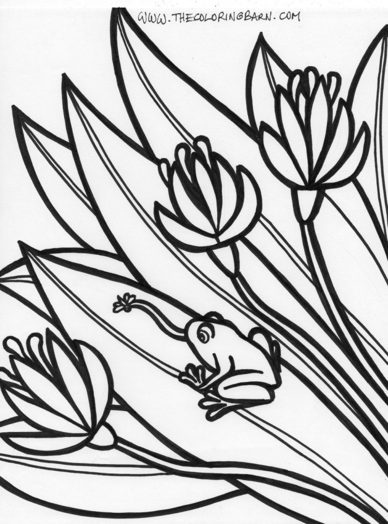 Rainforest frog coloring page