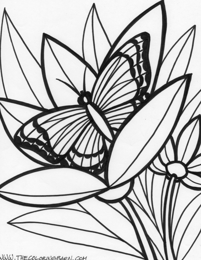 Rainforest butterfly coloring page
