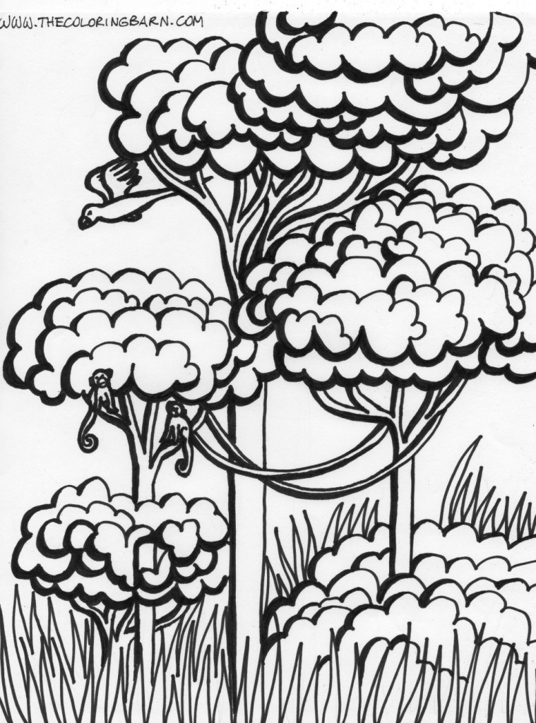 Rainforest vines coloring page