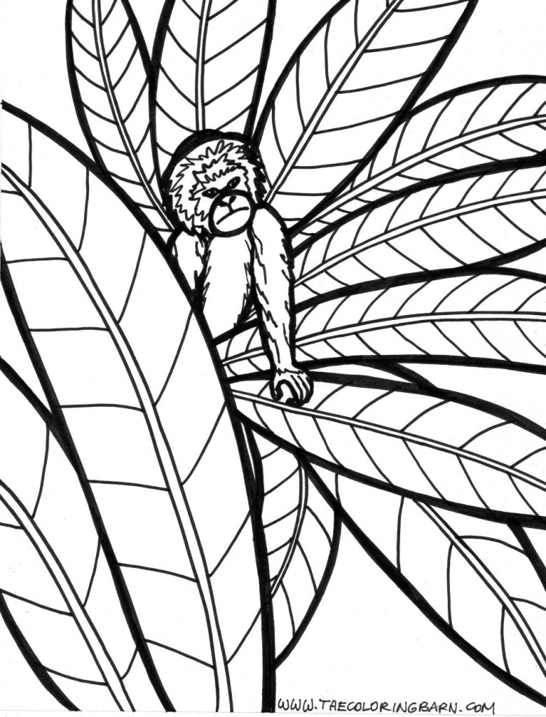 Rainforest monkey coloring page