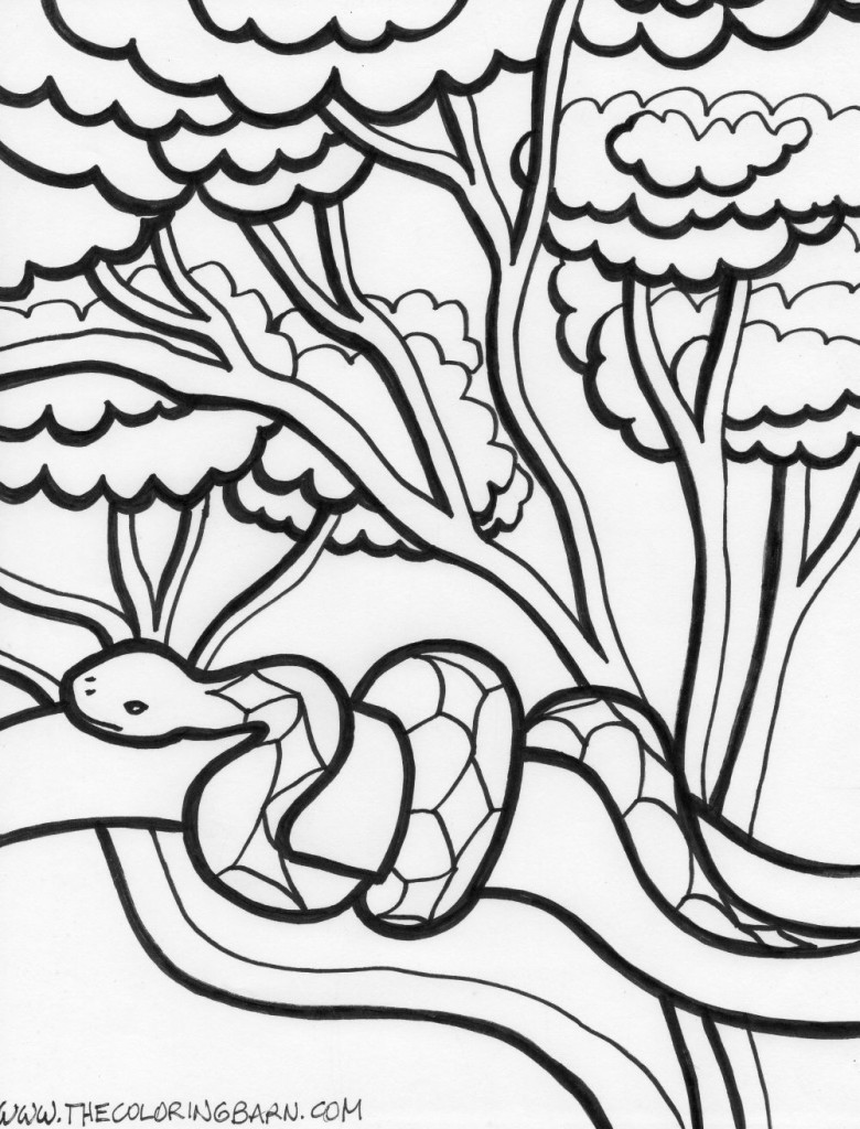 Rainforest snake coloring page