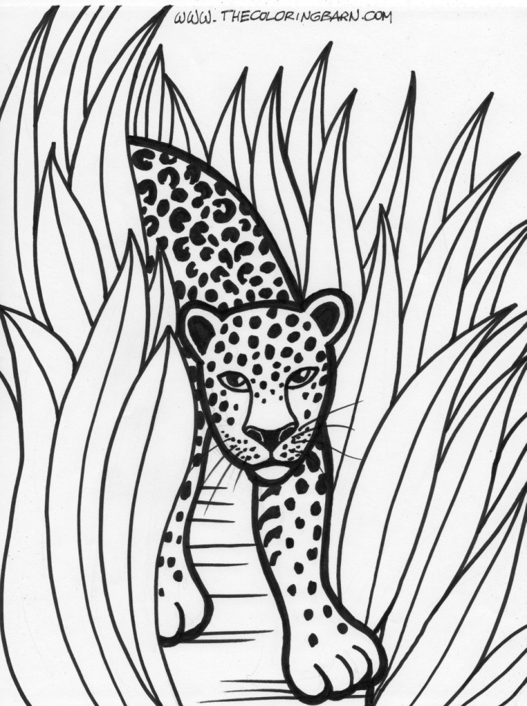 Rainforest leopard coloring page