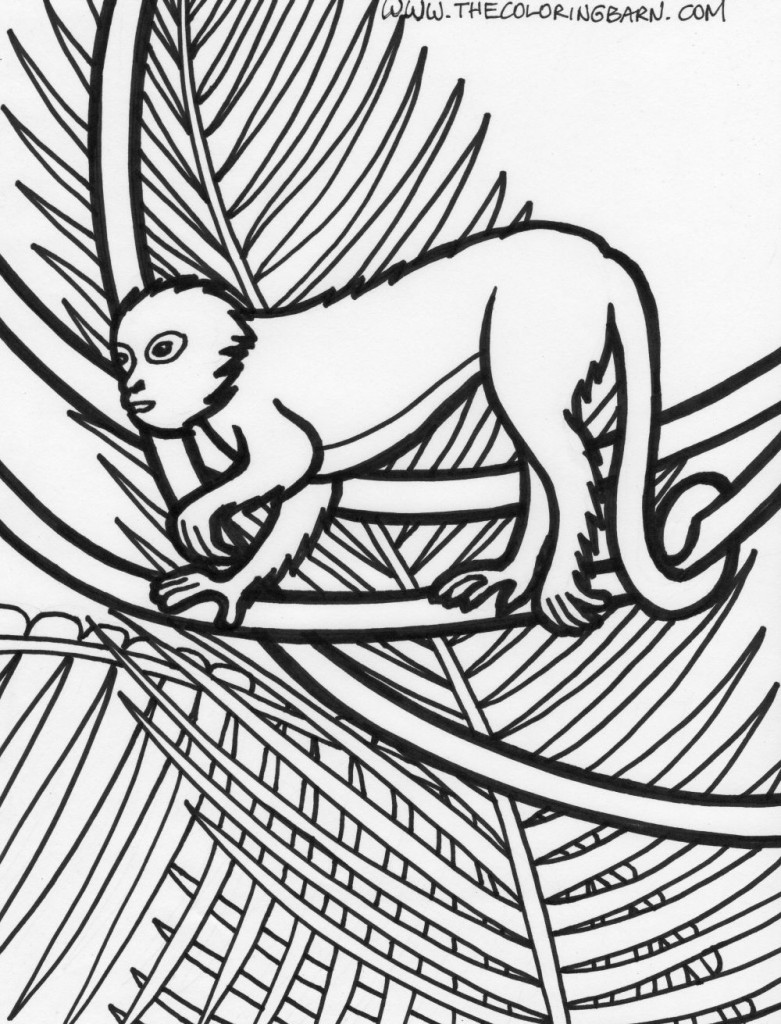 Rainforest lemur coloring page