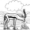 antelope coloring page