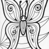 detailed butterfly coloring page