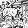 farm sheep coloring page