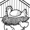farm chicken coloring page