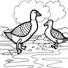 farm geese coloring page