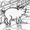farm pig coloring page