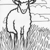 farm lamb coloring page