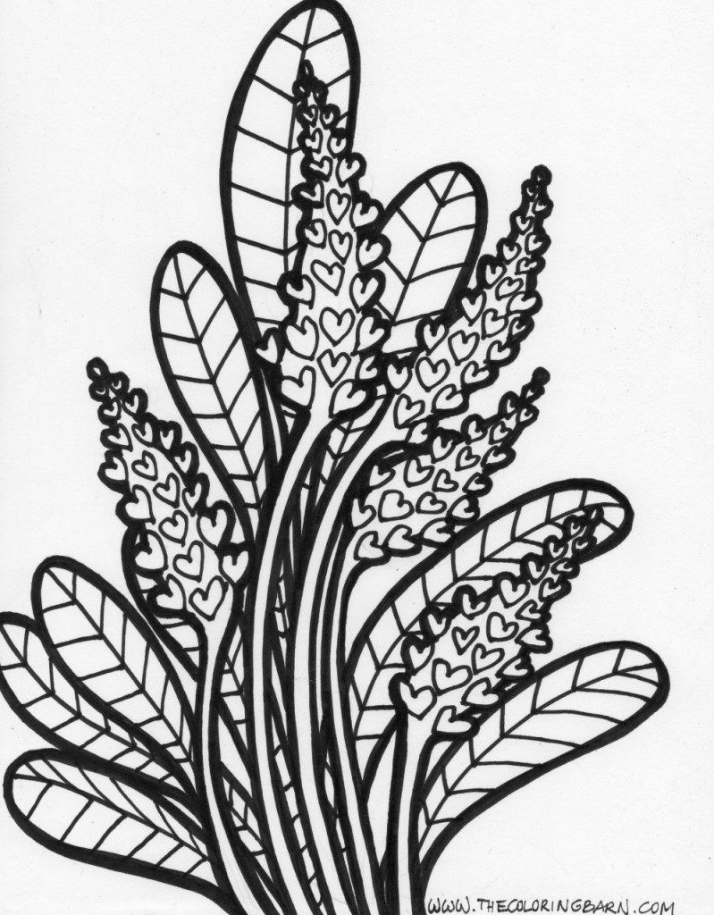 wild flowers coloring page