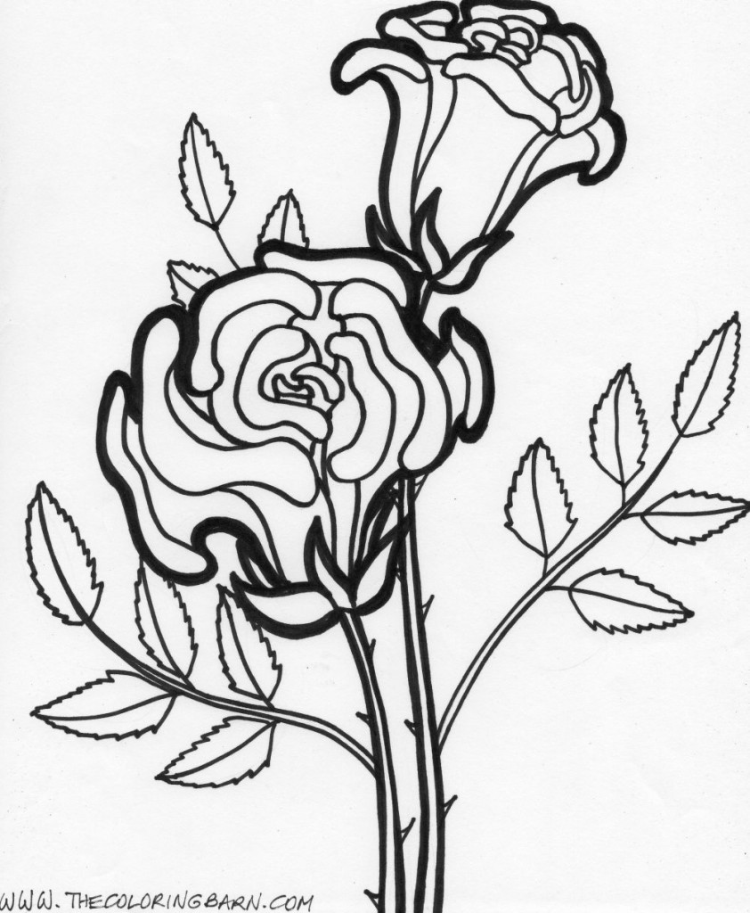 rose flower coloring page