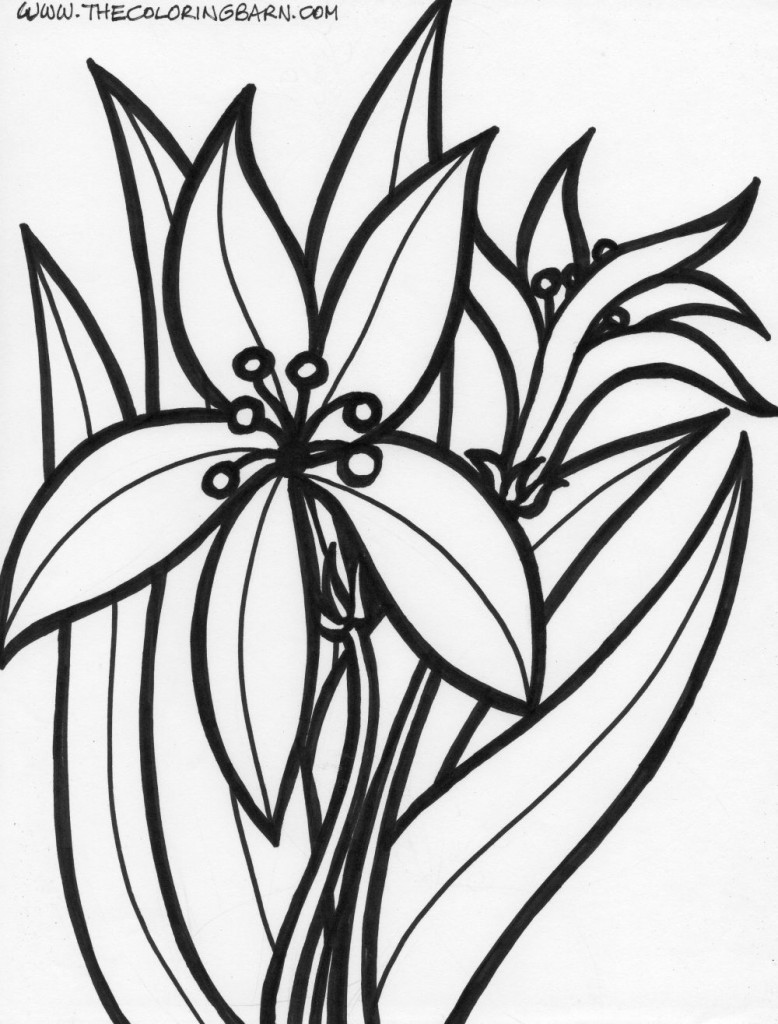 flower coloring pageS