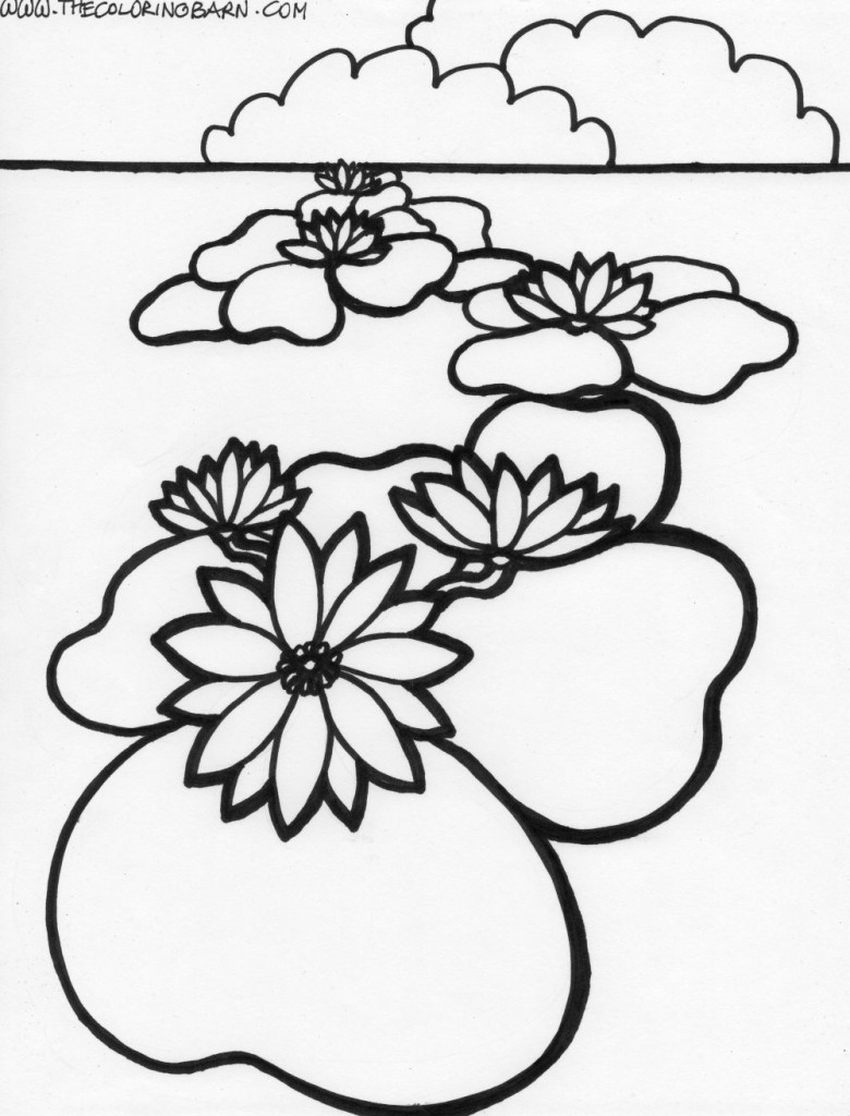 water lillies coloring page