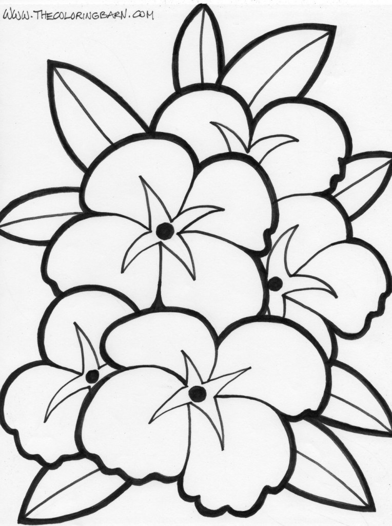 big flowers coloring page