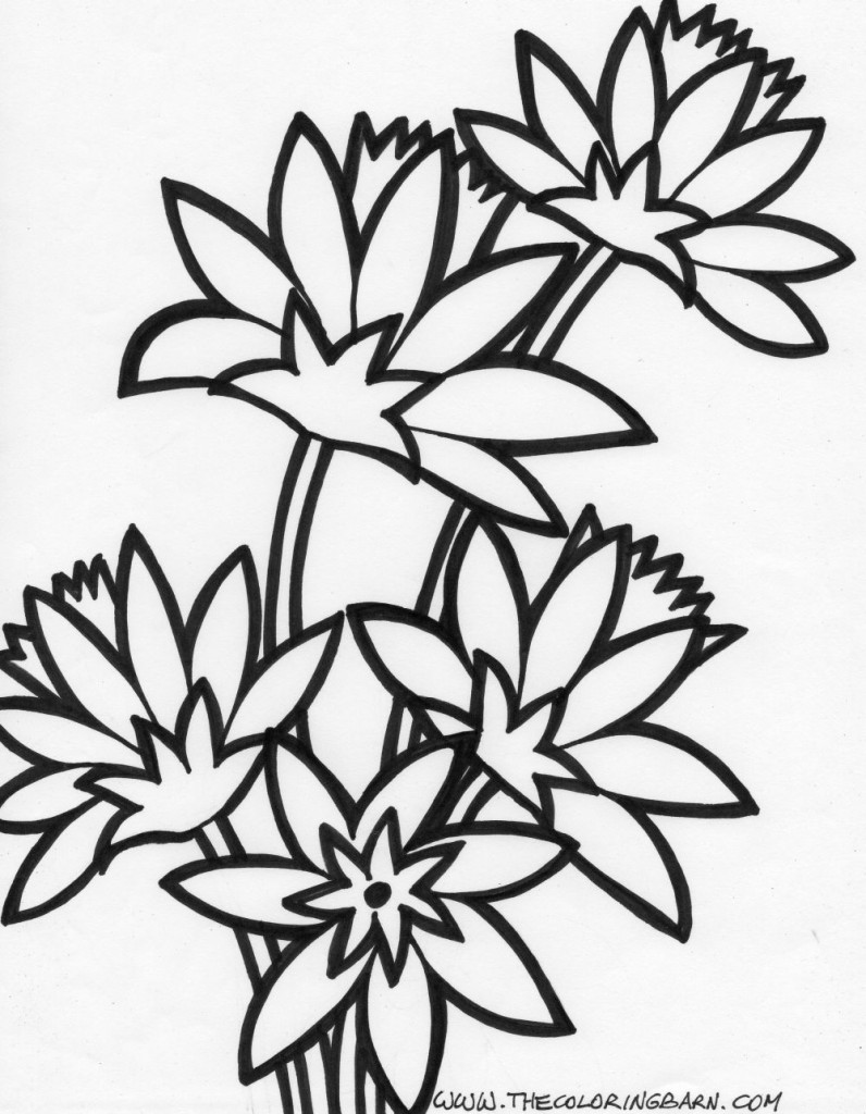multiple flowers coloring page