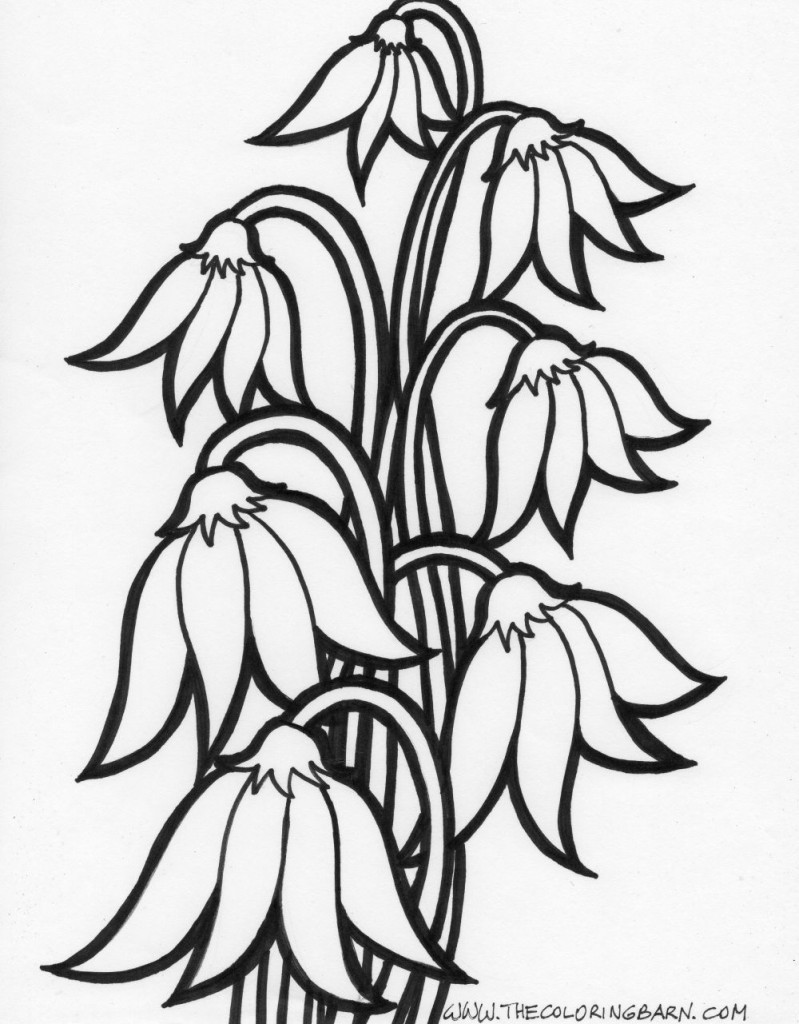 moon flower coloring page
