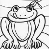 dragonfly frog coloring page