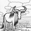 ox coloring page
