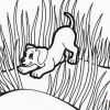 puppies in grass coloring page