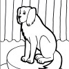 Dog coloring 6