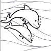 dolphin coloring pages2