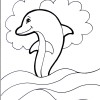 dolphin coloring pages3