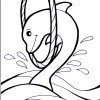 dolphin coloring pages4