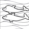 dolphin coloring pages5
