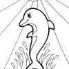 dolphin coloring pages6